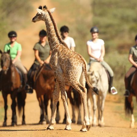 Pakamisa Private Game Reserve Pongola Εξωτερικό φωτογραφία