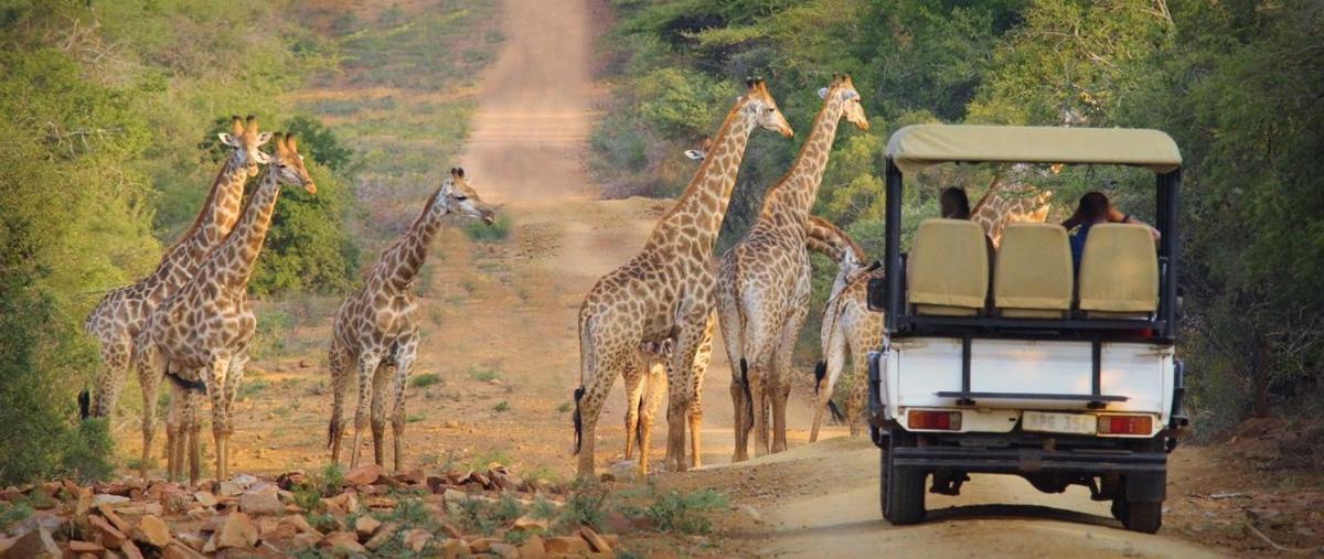Pakamisa Private Game Reserve Pongola Εξωτερικό φωτογραφία