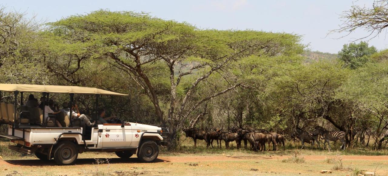 Pakamisa Private Game Reserve Pongola Εξωτερικό φωτογραφία